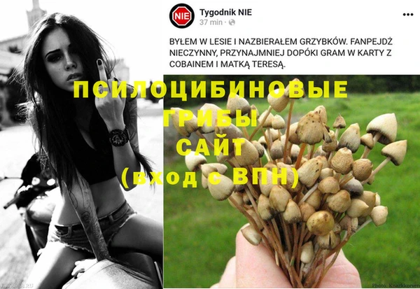 а пвп мука Пересвет