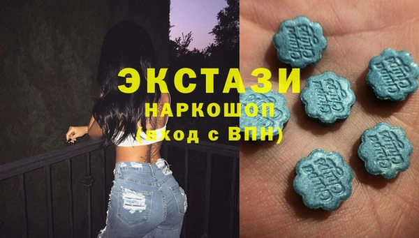 мяу мяу мука Переславль-Залесский