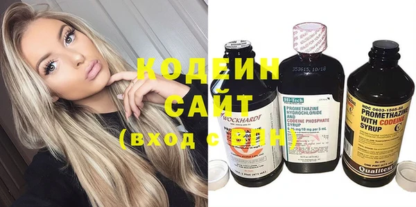 шишки Осинники