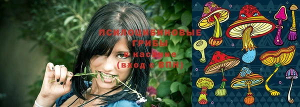мяу мяу мука Переславль-Залесский