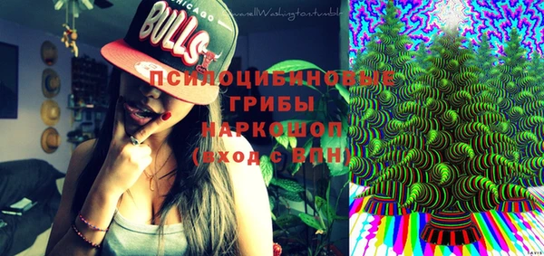 а пвп мука Пересвет