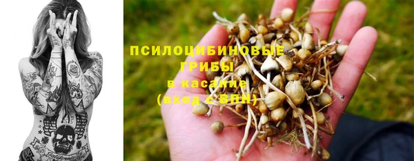 амф Павлово
