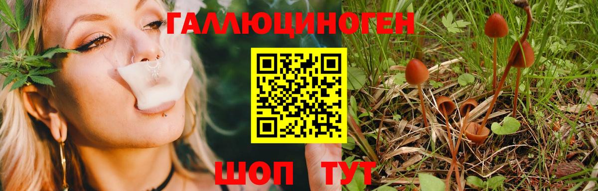 Топки  Псилоцибиновые грибы Magic Shrooms  Вход с VPN 